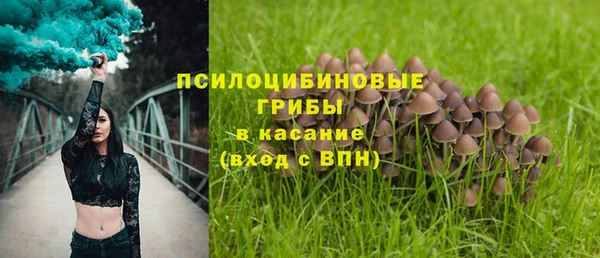 спиды Протвино