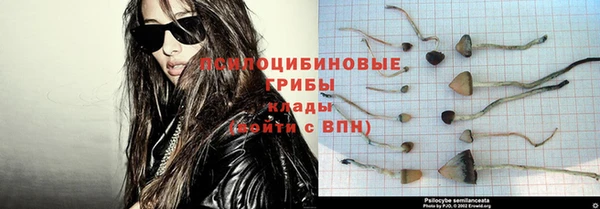 спиды Протвино